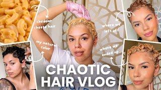 Bleaching my curly pixie blonde! multi-day HAIR VLOG