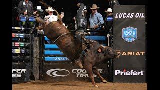 Arizona Ridge Riders: Chase Dougherty rides Baraka for 86.75 points