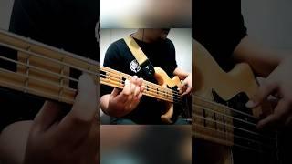 Bass cover