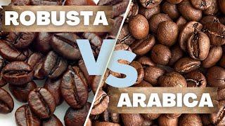 The Difference Between ARABICA and ROBUSTA - The Two Best Friends that Hate Each Other