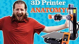 Understanding Your FIRST 3D PRINTER!!