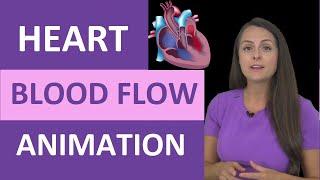 Heart Blood Flow Animation | Heart Anatomy Made Easy for Nursing School