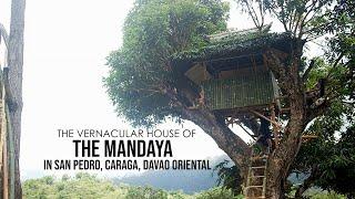 THE VERNACULAR HOUSE OF THE MANDAYA IN SAN PEDRO, CARAGA, DAVAO ORIENTAL