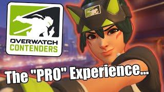 How PRO Overwatch players REALLY play Overwatch 2...