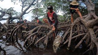 Ang Daming Isda Ang Nahibasan sa Bakawan ang Lalaki Catch & Sell