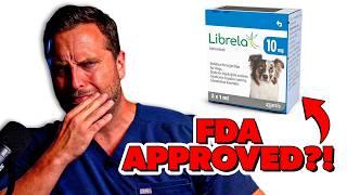 Is Librela Safe For Your Dog?