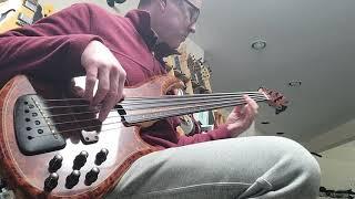 FBass AC5 Signature Custom Fretless - cool tone!