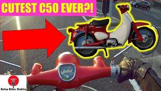 Honda Little Cub 50 - what is a honda little cub? - honda little cub 50 (ride & review)