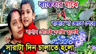 বাগানের সব্জি দিয়েই সারাটা দিন চললো! ছাদবাগানে নতুন ফুল ফুটলো @CreationofMou #tagpayel