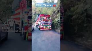 Beautiful Nepali Truck️️ #kajii_vlogs #drivers #viral #nepal #truck #highway