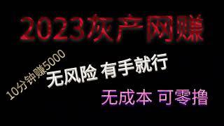 2023无风控网络赚钱，灰产搞偏门赚钱路子，灰产搞钱