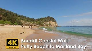 Bouddi National Park | Putty Beach to Maitland Bay | 4K UHD Video Walk