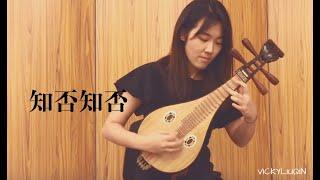 【COVER】柳琴《知否知否》│楊子瑢 Liuqinist • Vicky Yang