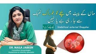 Is Your Baby Getting Enough Nutrients? Umbilical Artery Doppler (UAD) Test Explained