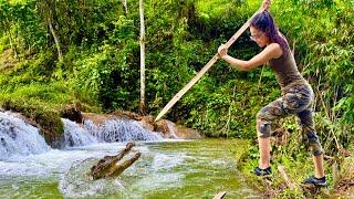 The battle for survival between the girl and the crocodile, how to trap crocodiles