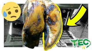 NO FIX FOR COW'S FOOT... | TEC TV