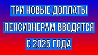 Три Новые Доплаты Пенсионерам Вводятся с 2025 года