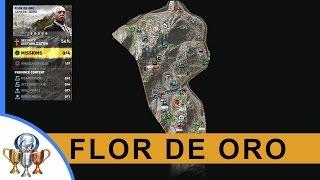 Ghost Recon Wildlands Kingslayer Files, Legends, Documents, Weapons, Medals, Skills (Flor De Oro)