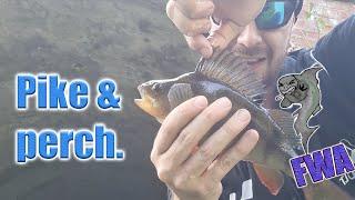 Perch & pike canal fishing, Berkley power baits (nymph) -micro jigging - Mid wales UK