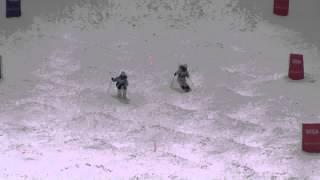 Hallee Ray vs Madii Himbury - 2015 FIS North American Cup - Deer Valley - Ladies Round 32 Duals