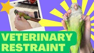 Training Veterinary Restraint | Cooperative Care