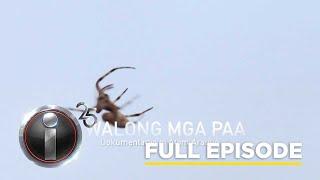 ‘Walong mga Paa,’ dokumentaryo ni Atom Araullo (Full Episode) | I-Witness