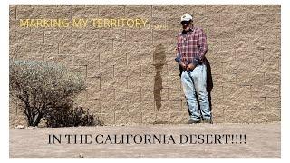 Marking My Territory in the California Desert!!!