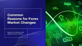 Unmasking Forex: Why Does the Market Keep Changing?