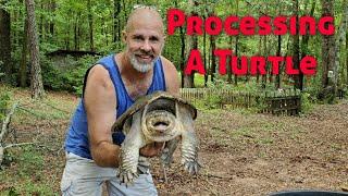 How To Process A Snapping Turtle