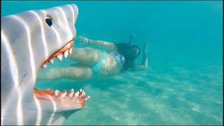 Swimming with Great White Shark in Ocean | Underwater Tori