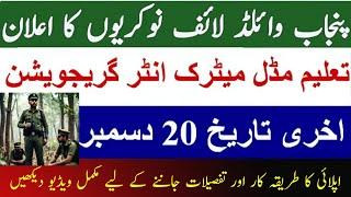 Punjab Wildlife Jobs 2024 | Complete Application Process, Eligibility & Details - muft maloomat