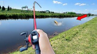 Fishing w/ LIVE SHINERS in Miami Canals! (LOADED)