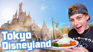 What's NEW at Tokyo Disneyland?! | Baymax Curry, Beauty & the Beast, and more!