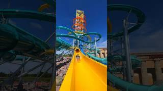 TALLEST waterslide in America! @WaterparkCapital #shorts