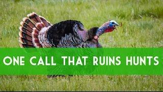 Turkey Calling: Greatest Mistake Of Calling Hens. How To Call Turkeys.