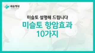 암세포를 죽이는 미슬토