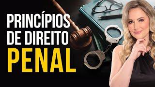 Princípios do DIREITO PENAL (Resumo para Iniciantes)