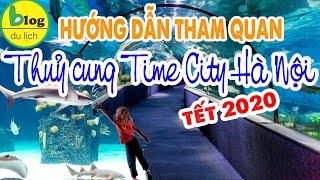 Du lịch Hà Nội: Tham quan thuỷ cung Times City 2020