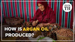 Why is argan production in Morocco in trouble? | The Hindu