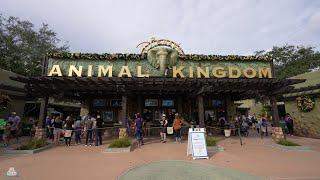 DISNEY'S ANIMAL KINGDOM - Park Vorstellung für Erstbesucher - Walt Disney World - Florida