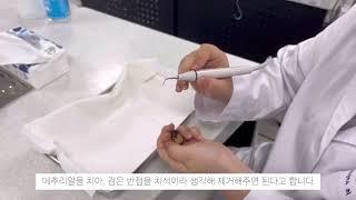 #경복대학교 #경복대치위생과 #전공체험 준비 및 진행