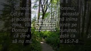 Psalmi 15:7-8 Călăuzit de Inimă #creștini #biblie #psalmi