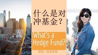 第42期：什么是对冲基金？What''s a Hedge Fund?