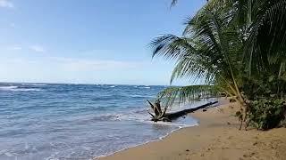  Beach and the Sea in Manzanillo, Limon, Costa Rica