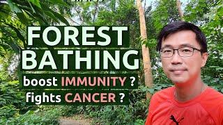 Forest Bathing, Forest Walks boost Immunity & help fight Cancer?