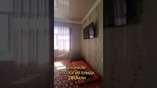 2ХОНАЛИ КВАРТИРА #сотилади #shorts #xorazm #urganch #urdu #new #2024 #top #like #video #uylar #uyjoy