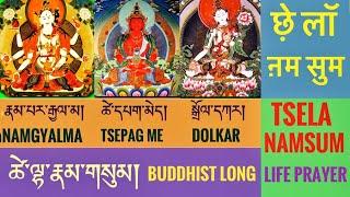 Tsela Namsum,
ཚེ་ལྷ་རྣམ་གསུམ། 
छ़े लॉ ऩमसुम 
Buddhist long life prayer, 
Long life mantra,