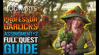 Hogwarts Legacy: Professor Galick's Assignment 2 Full Quest GUIDE! "Flipendo" (Spell Guide)