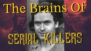 Brain Doctor Explores The Minds Of Serial Killers!