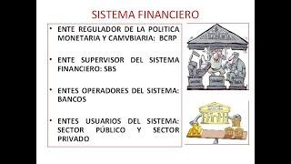 SISTEMA FINANCIERO Y SEGUROS Y ASPECTOS CONTABLES RELACIONADOS_07.11.2021_DR.DOMINGO HERNANDEZ CELIS